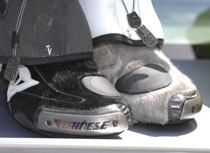 Bottes Dainese poil