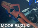 Collection Suzuki