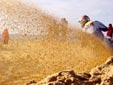 Ronde des Sables