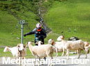Mediterranean Tour