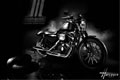  Harley-Davidson Iron 883 immortalis�e Harcourt