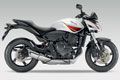Nouveauté 2010 Honda Hornet 600