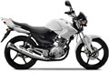 Nouveauté 2010 Yamaha YBR 125
