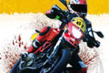 Dark Dog Moto Tour Alex Busquet t�te