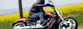 Harley-Davidson V-Rod Muscle