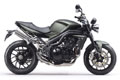 Triumph Speed Triple Matt Khaki Green