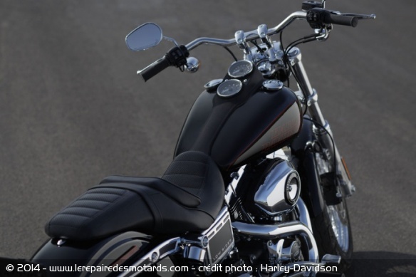 Custom Harley-Davidson Low Rider