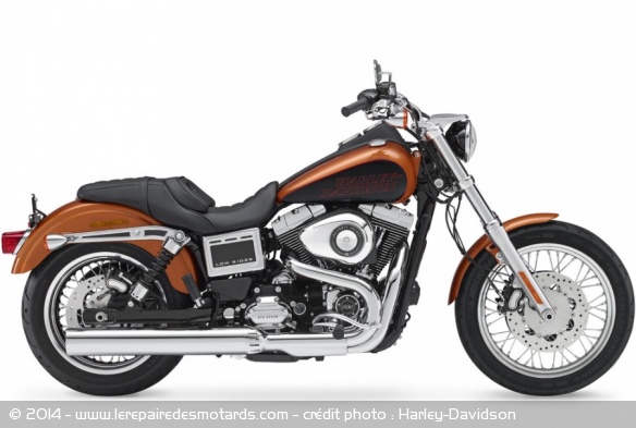 Custom Harley-Davidson Low Rider