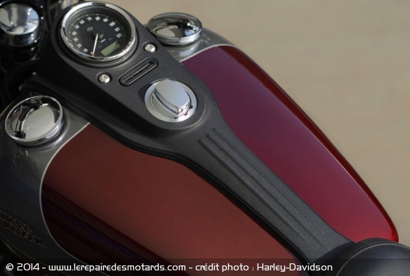 Custom Harley-Davidson Street Bob Special Edition
