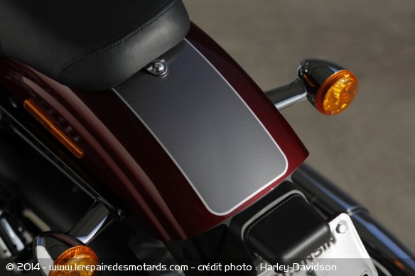 Custom Harley-Davidson Street Bob Special Edition