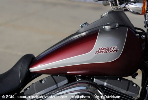 Custom Harley-Davidson Street Bob Special Edition