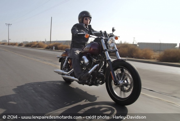 Custom Harley-Davidson Street Bob Special Edition