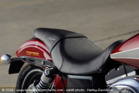 Custom Harley-Davidson Street Bob Special Edition