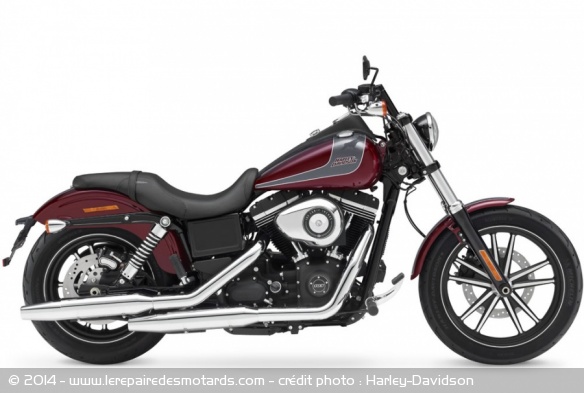 Custom Harley-Davidson Street Bob Special Edition