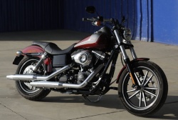 Custom Harley-Davidson Street Bob Special Edition