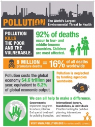 La pollution : 1ère cause de mortalité au monde