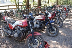 1.800 motos vendues aux enchères en Floride