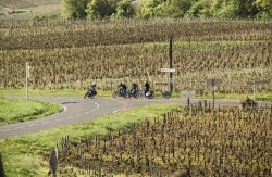 Tour des vignobles en mob' - Crédit photo : Domaine Vincent Cornin