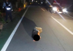 Dormir sur la route est tendance à Okinawa - Crédit photo : Okinawa Prefectural Police