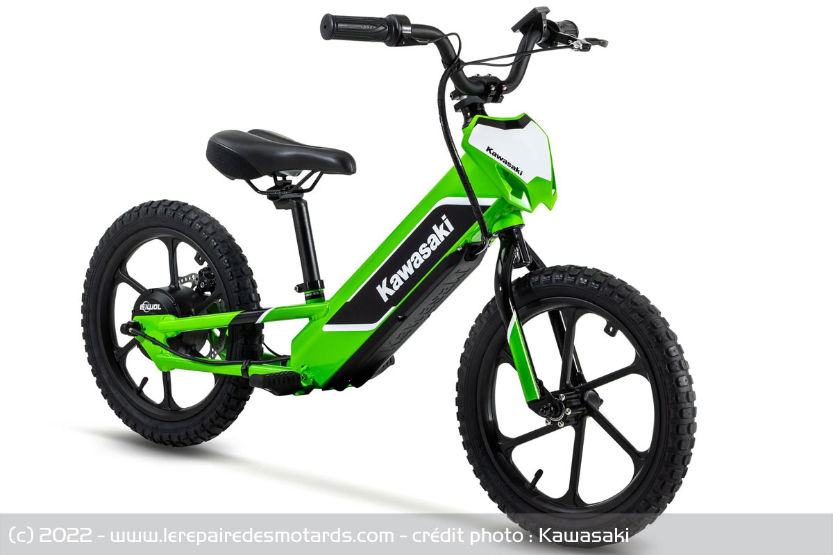 Moto électrique Kawasaki Elektrode