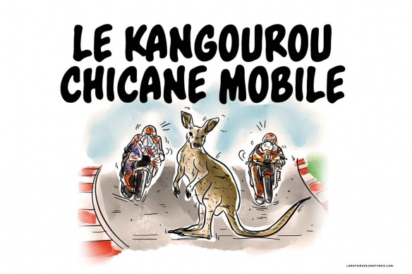 Les wallabies et kangourous chicanes mobiles du GP
