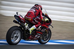 WSBK : Bautista double la mise à Jerez - Crédit photo : Ducati