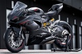 Sportive Ducati Panigale V2 2024