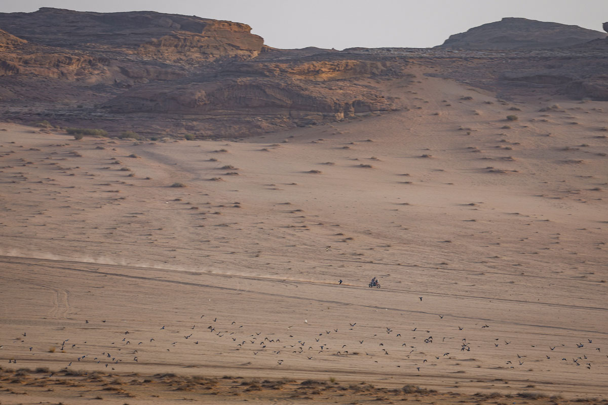 Dakar : Schareina s'impose en ouvreur