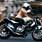 Suzuki d&eacute;voile le roadster SFV Gladius, la vraie nouveaut&eacute; Suzuki 2009 sur base du bicylindre en V &agrave; 90&deg; de la SV et cadre treillis