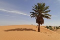 Mauritanie   Mto climat
