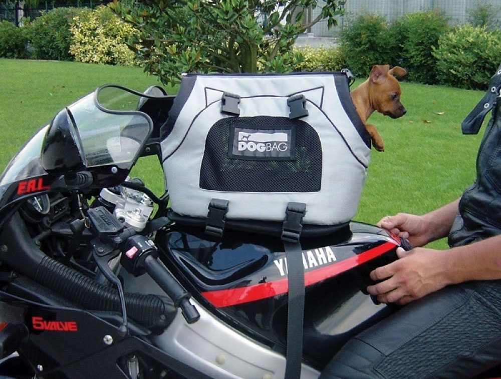 Transporter son chien ou chat à moto
