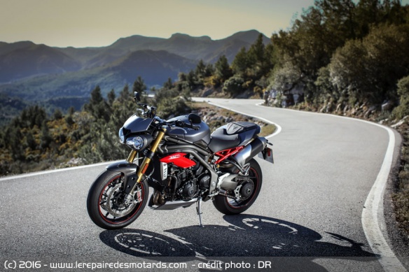 Triumph 1050 Speed Triple su route