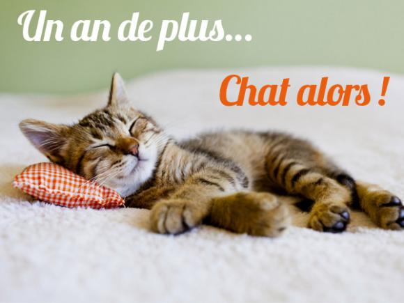 carte-annviersaire-tablette-chat.jpg