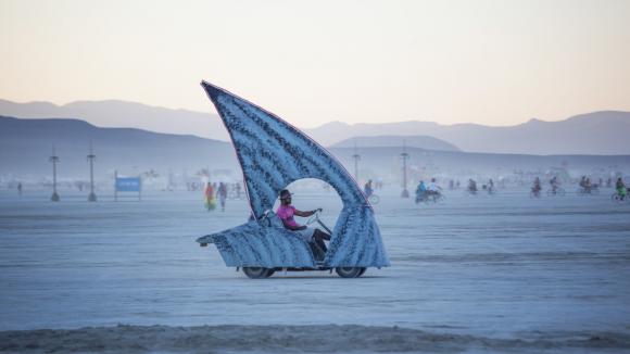 shark-small-art-car.jpg