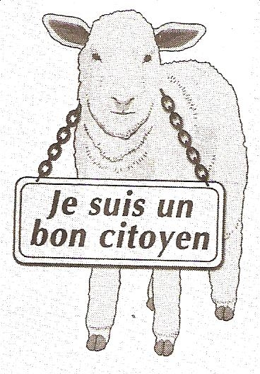 MOUTON_DE_LANCTOT-1-.jpg