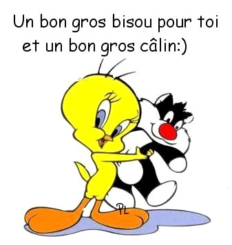 calins_001.jpg