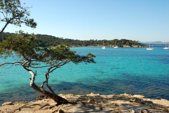 porquerolles-049.jpg