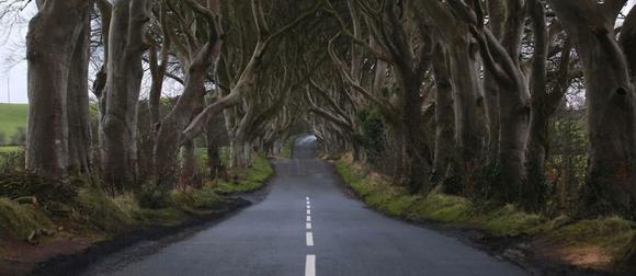 2960569lpw-2960830-article-dark-hedges-game-of-thrones-jpg_3367432_980x426.jpg