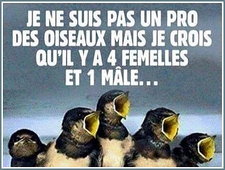 humour-homme-femme.jpg