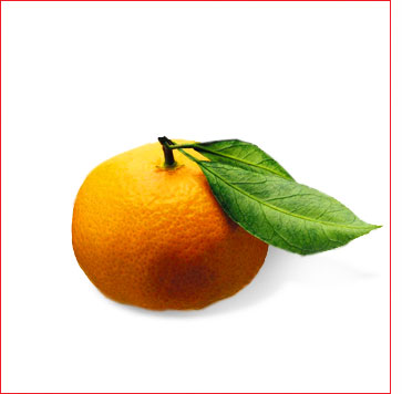 Mandarine.jpg