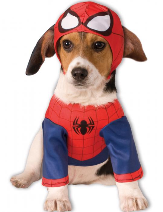 deguisement-spiderman-pour-chien_232420.jpg