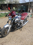 www.hiboox.com