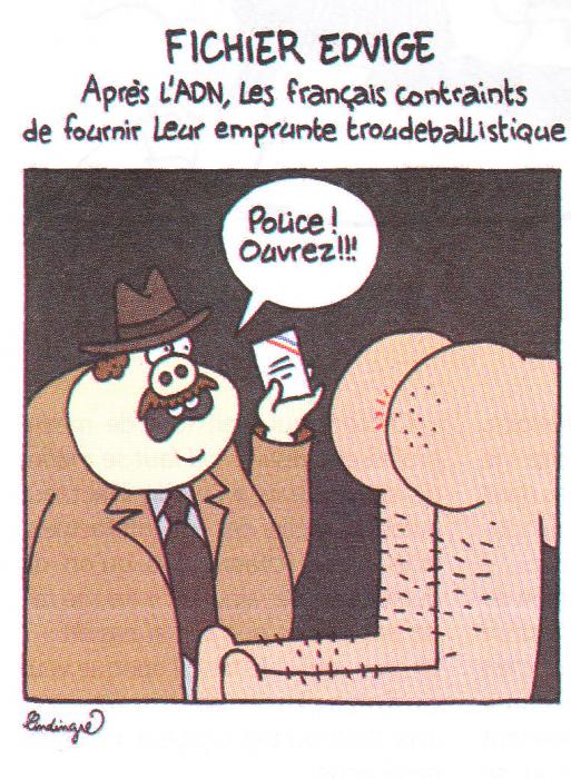 edvigedansSinHebdo.jpg