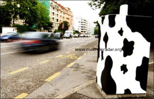 photo-radar-vache.jpg