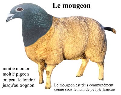3053556161_1_3_cRrkVdUG.jpg