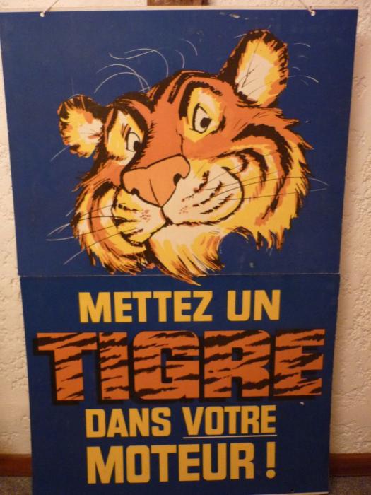 tigre.jpg