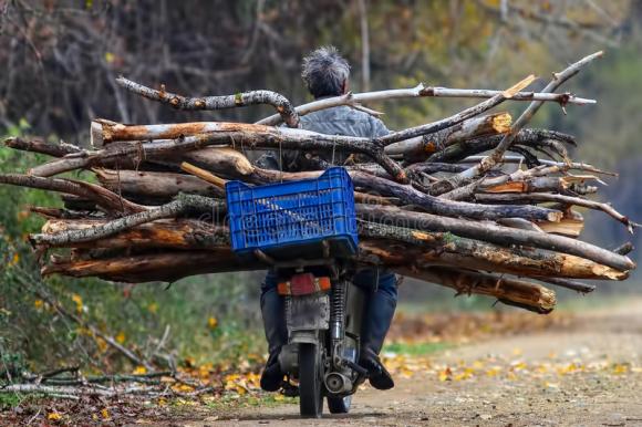 vieil-homme-sur-une-moto-conduisant-des-branches-pour-le-bois-de-chauffage-49028221.jpg