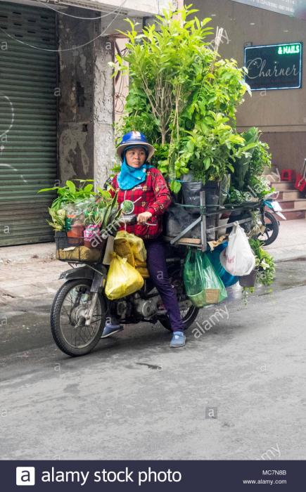 une-femme-sur-une-moto-chargee-avec-des-plantes-en-pot-a-ho-chi-minh-city-vietnam-mc7n8b.jpg