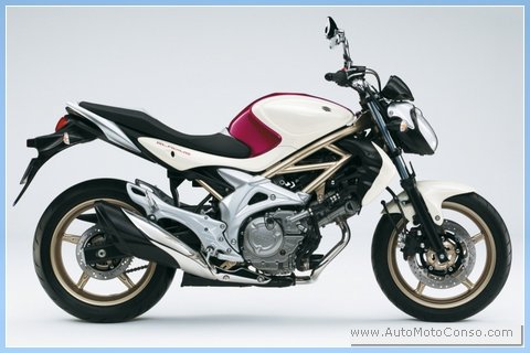 suzuki-sfv-650-gladius-05.jpg