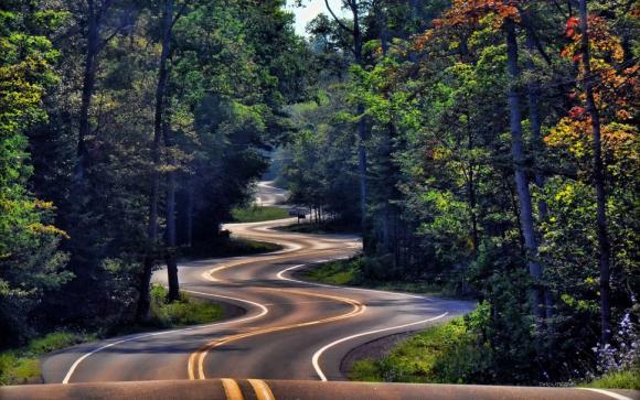 124189__forest-road-winding-nature-landscape-forest_p.jpg